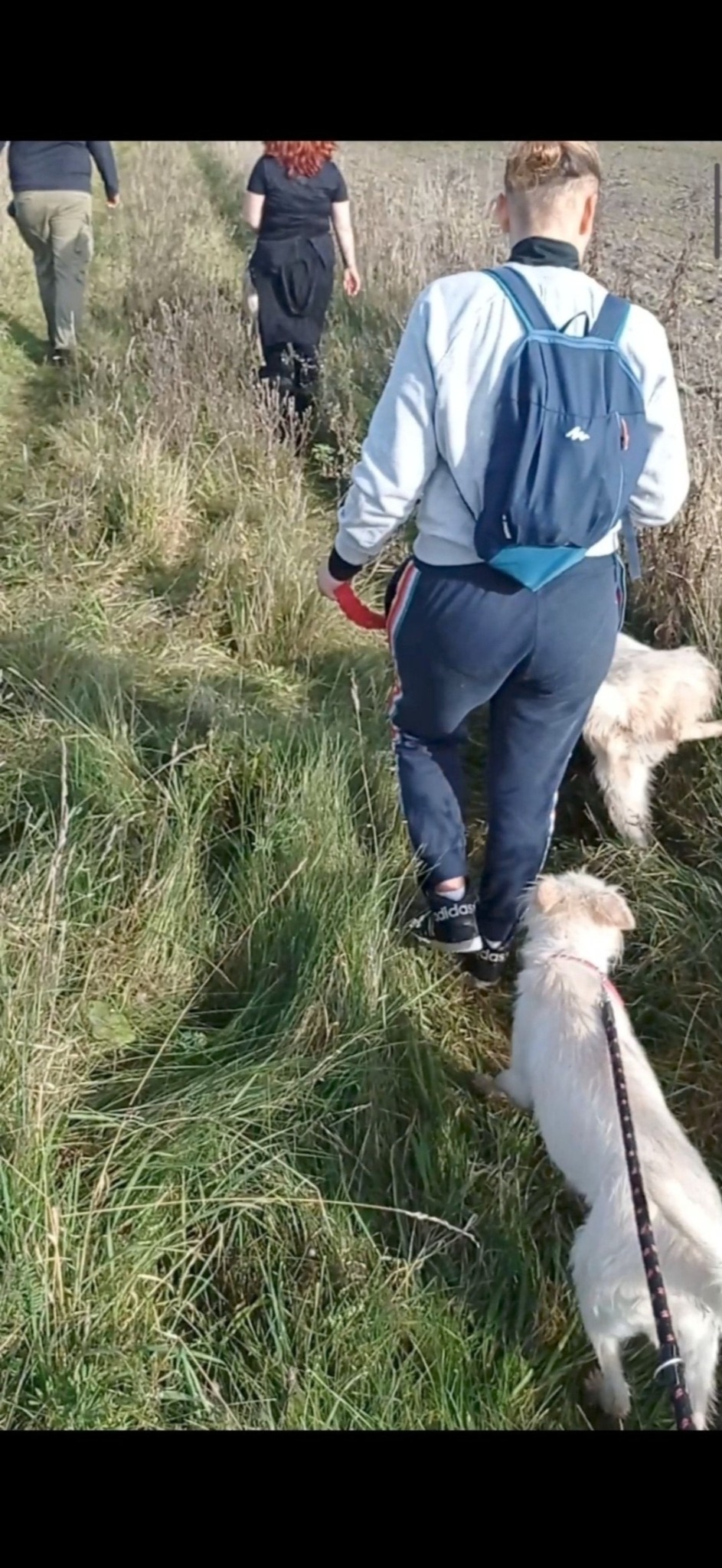 Grupowy spacer w fundacji ;)