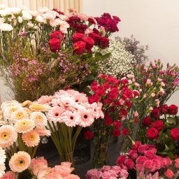 Flores Pracownia Bierzglinek - Kwiaciarnia Września - Różnorodny wybór świeżych kwiatów w wazonach: gerbery w odcieniach brzoskwini i różu, czerwone róże i goździki, gipsówka oraz drobne różowe kwiatki, ustawione na ciemnym blacie.