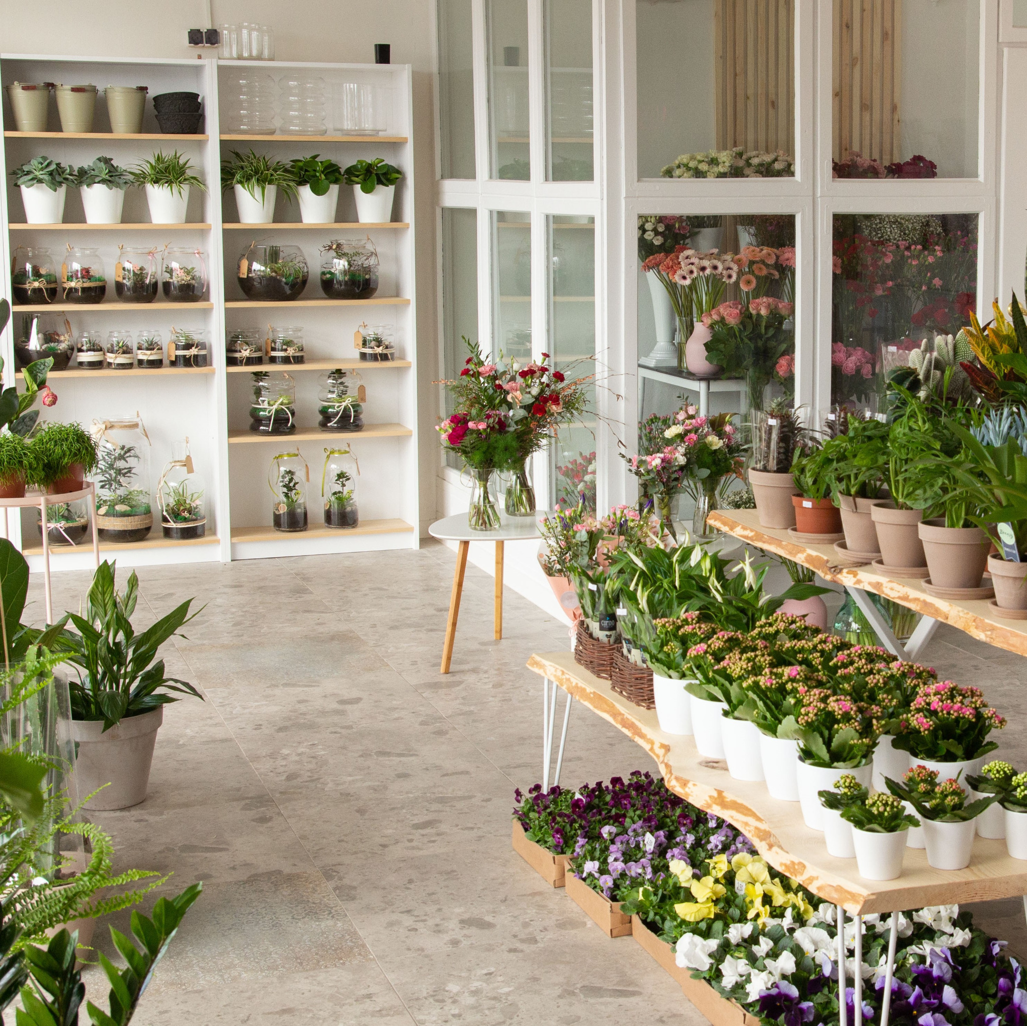 Wnętrze kwiaciarni z różnorodnymi roślinami doniczkowymi, bukietami ciętymi i terrariami na półkach i stołach w jasnym, przestronnym pomieszczeniu.