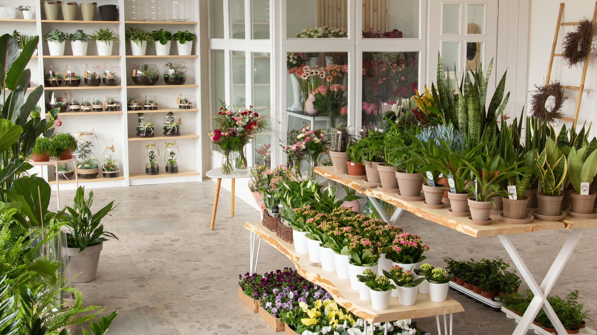 Wnętrze kwiaciarni z różnorodnymi roślinami doniczkowymi, bukietami kwiatów w wazonach, terrariami i dekoracyjnymi wieńcami, ustawionymi na półkach i drewnianych regałach.