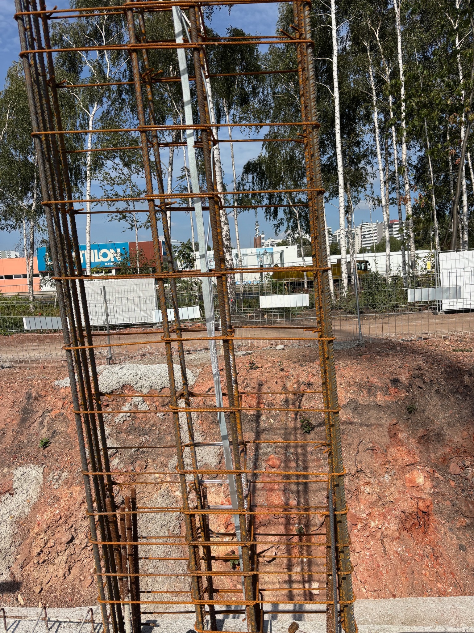 Zbrojenie fundamentów pod budynek, widoczne pręty stalowe połączone w szkielet, na tle drzew i nieba. Konstrukcja w ziemi, przygotowana do zalania betonem.