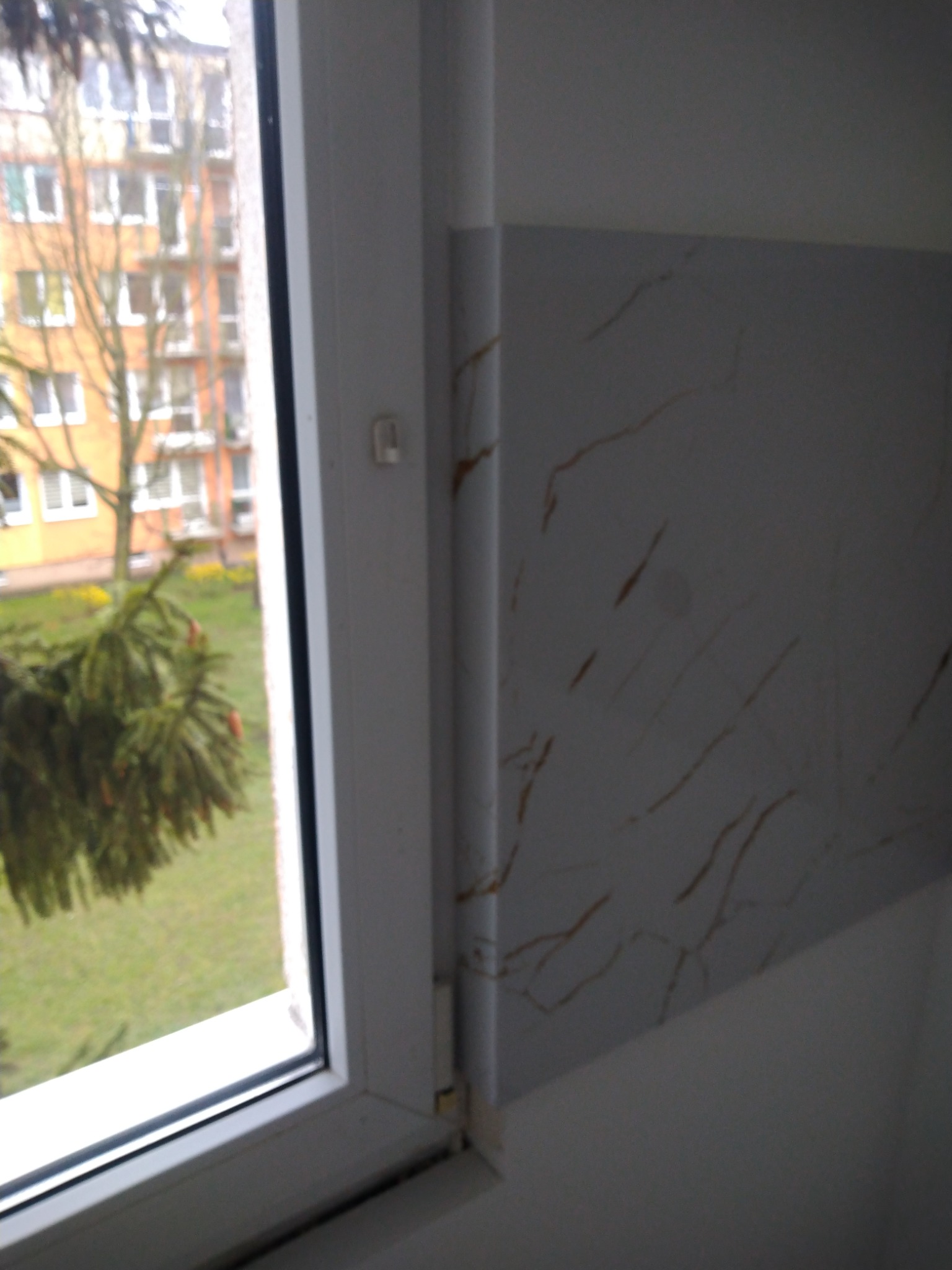 Fragment ściany wykończonej płytą imitującą marmur, widok przez okno na budynek mieszkalny i zieleń.