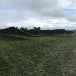 Rząd paneli słonecznych na trawiastym polu pod pochmurnym niebem, widoczne czerwone elementy zabezpieczające na podporach.