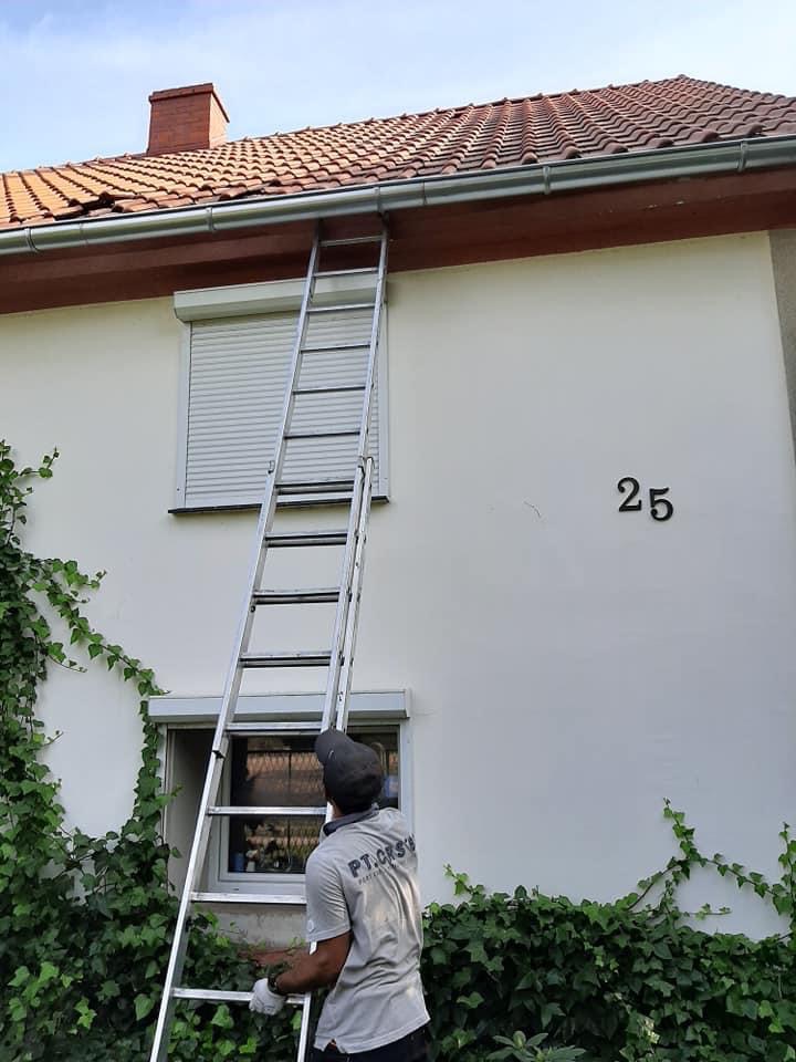 Pracownik na drabinie oparty o budynek z ceramiczną dachówką i metalowymi rynnami, widoczne pnącza bluszczu.