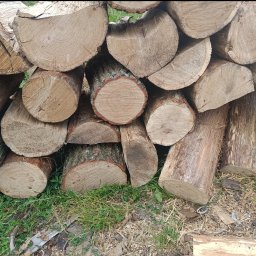 Drewno kominkowe Pątnów 2