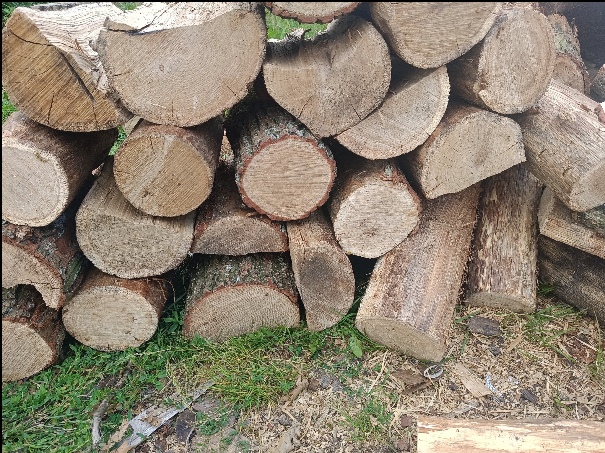 Stos pociętych kloców drewna ułożonych na trawie w Pątnowie, widoczne słoje i kora drzew. Niektóre kawałki drewna mają kształt półksiężyca.