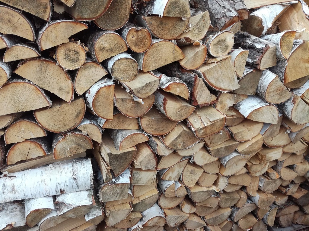 Stos pociętego drewna brzozowego ułożonego w pryzmę, widoczne jasne drewno i biała kora.