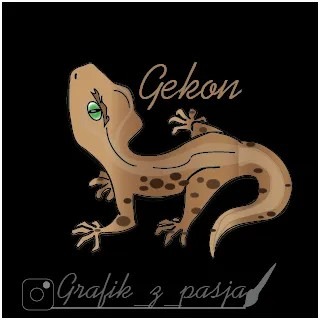 Ilustracja gekona z napisem 'Gekon' wykonana w stylu cartoon z konturem i podpisem 'Grafik z pasją' w dolnej części obrazu na czarnym tle.