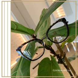 Okulary, oprawy, optycy Brzesko 3