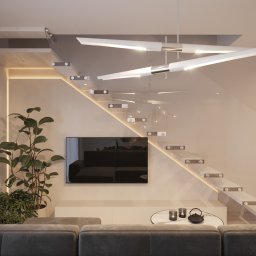 Dominika Janicka Interiors Design - Profesjonalne Projekty Domów Jednorodzinnych Brzesko