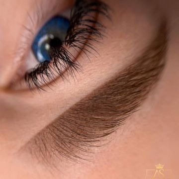 Zbliżenie na oko z perfekcyjnie wystylizowanymi brwiami, widoczne pojedyncze włoski i intensywny kolor.