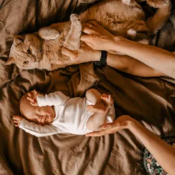 Noworodek śpiący na brązowym prześcieradle, trzymany w dłoniach, obok leży rudy kot głaskany przez inną osobę.