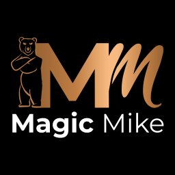 Magic Mike - Bezkonkurencyjne Mycie Dachówki