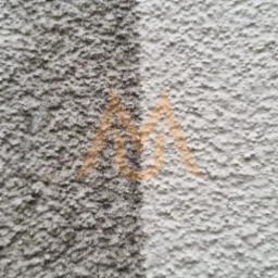 Fragment elewacji z wyraźnym podziałem na obszar wyczyszczony i zabrudzony, widoczna różnica w kolorze i fakturze, nałożony półprzezroczysty znak wodny.