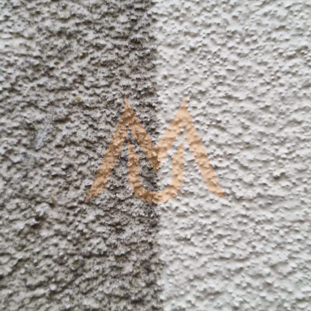 Fragment elewacji z wyraźnym podziałem na obszar wyczyszczony i zabrudzony, widoczna różnica w kolorze i fakturze, nałożony półprzezroczysty znak wodny.