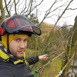 Arborysta w hełmie ochronnym i z uprzężą, wskazujący na drzewo podczas pracy na wysokości, z widocznymi linami i sprzętem wspinaczkowym.