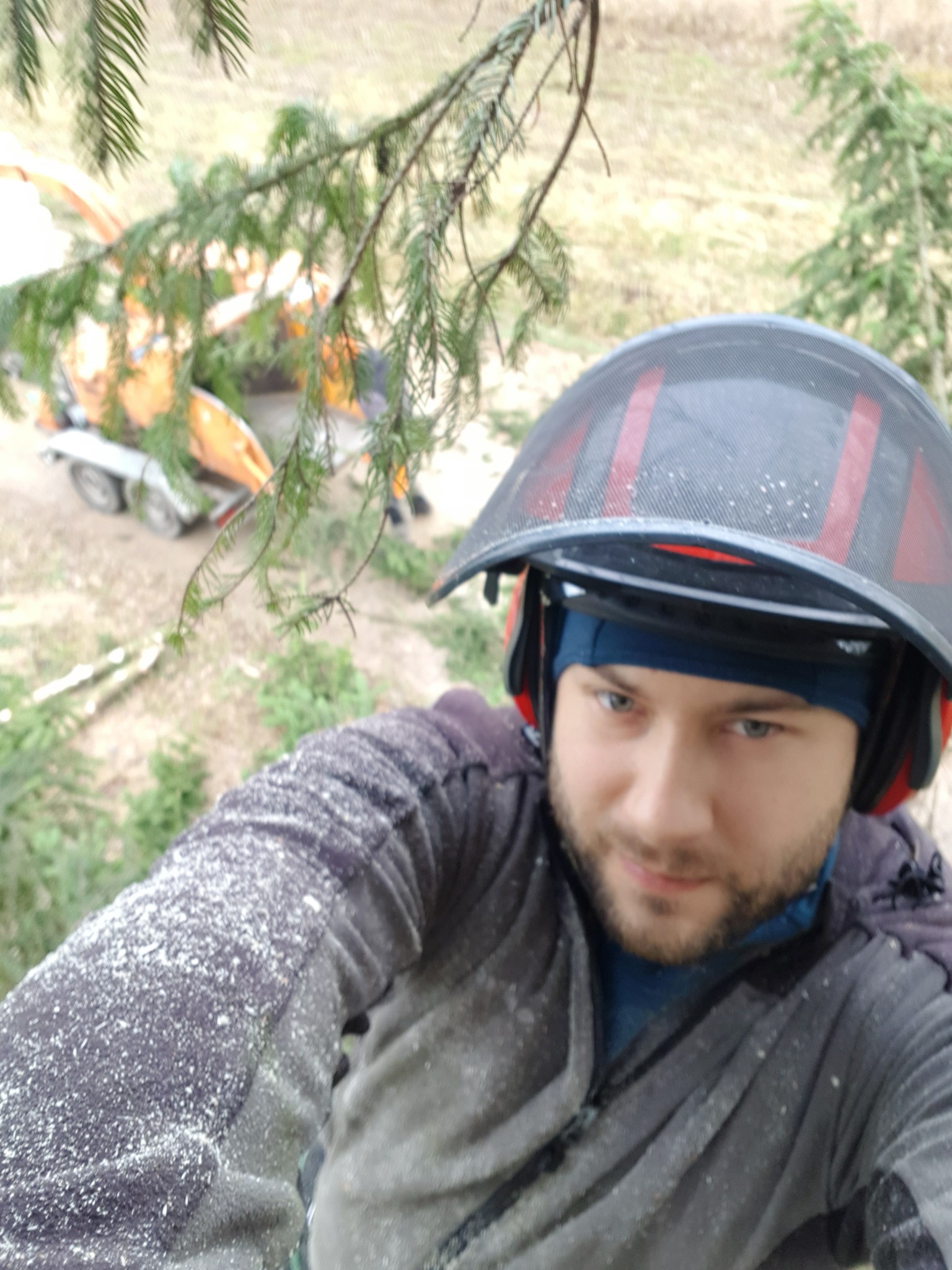 Arborysta w hełmie ochronnym i słuchawkach, pokryty trocinami, wykonujący prace pielęgnacyjne na drzewie iglastym, w tle przyczepa zrębowa.