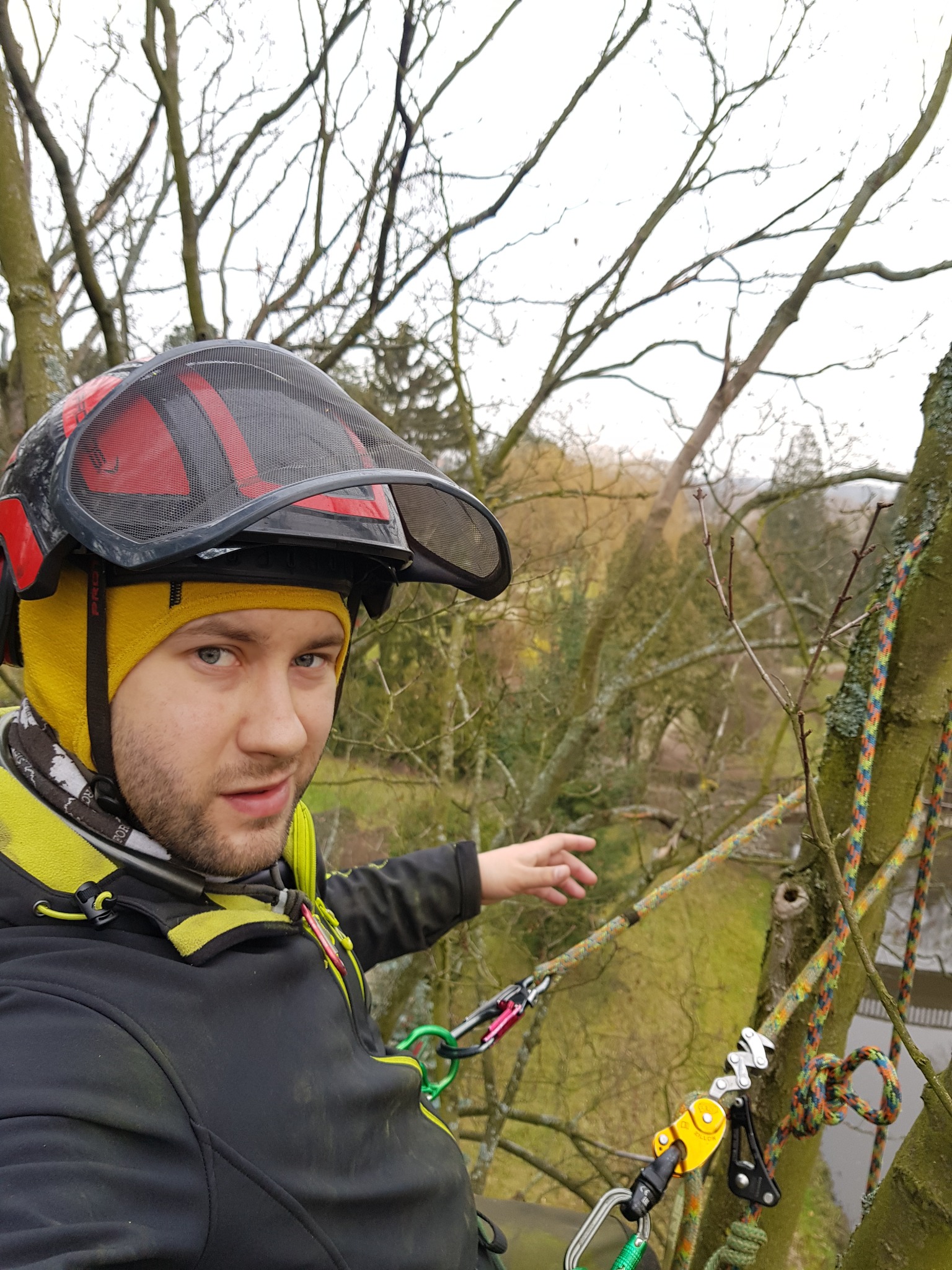 Arborysta w hełmie ochronnym i z uprzężą, wskazujący na drzewo podczas pracy na wysokości, z widocznymi linami i sprzętem wspinaczkowym.