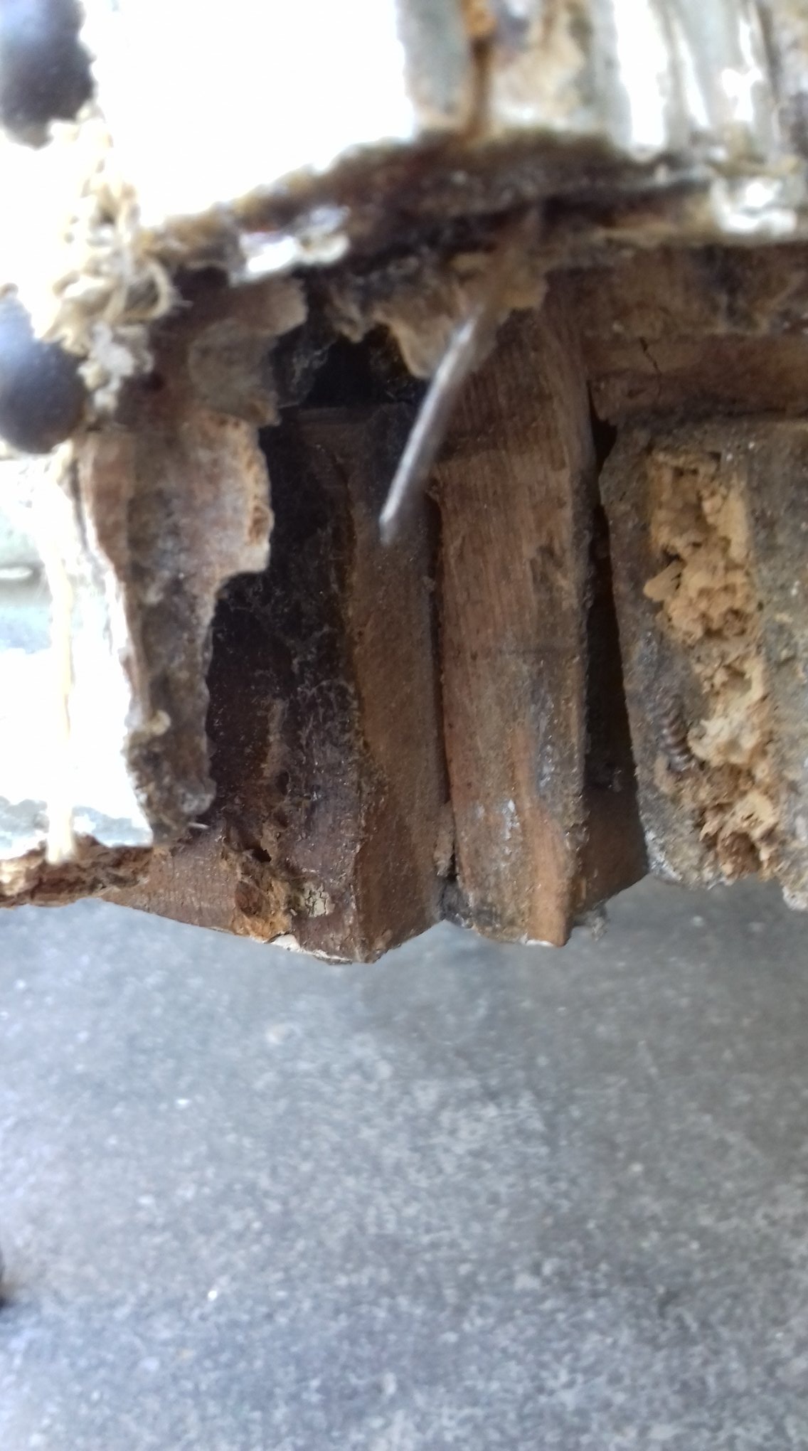 Fragment zniszczonego, starego drewnianego elementu architektonicznego z widocznymi śladami zawilgocenia i uszkodzeń biologicznych, z bliska.