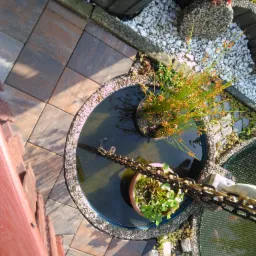 Widok z góry na okrągłe oczko wodne z roślinami w donicach, otoczone kostką brukową i białymi kamykami. Z boku widoczny fragment drewnianego ogrodzenia.