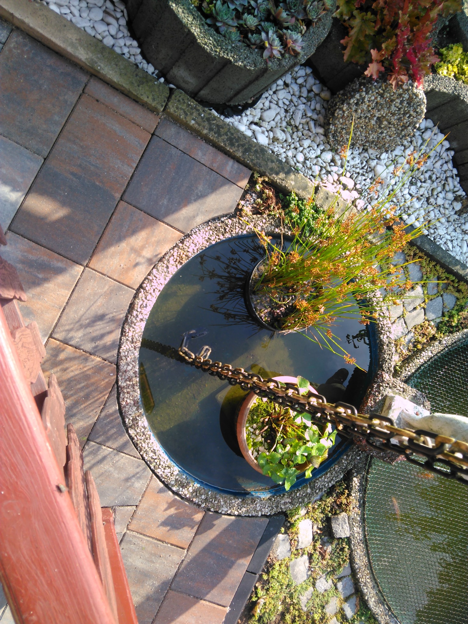 Widok z góry na okrągłe oczko wodne z roślinami w donicach, otoczone kostką brukową i białymi kamykami. Z boku widoczny fragment drewnianego ogrodzenia.