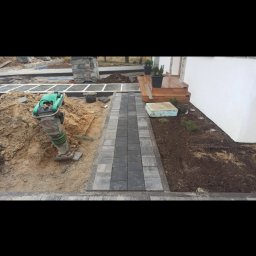 Bs Serwis - Układanie kostki brukowej na ścieżce z użyciem zagęszczarki. Widoczne przygotowane podłoże i ułożony fragment. Prace ziemne w toku, teren wokół w trakcie zagospodarowywania.