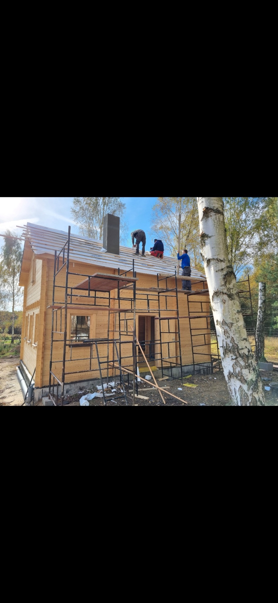 Budowa domu z bali: robotnicy na rusztowaniu montują dach. Widoczny komin, drewniana konstrukcja i brzoza na pierwszym planie. Prace w toku, słoneczny dzień.
