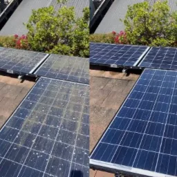 Porównanie paneli słonecznych na dachu przed i po czyszczeniu, widoczne zabrudzenia po lewej stronie i czyste panele po prawej, z zielenią w tle.