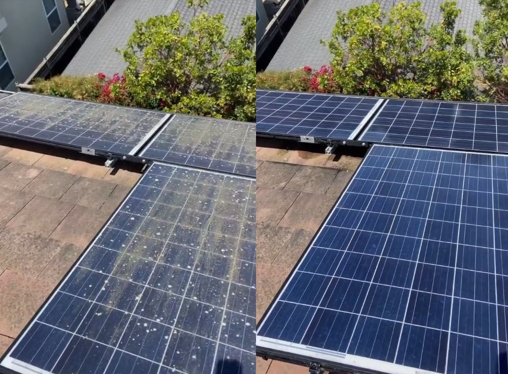 Porównanie paneli słonecznych na dachu przed i po czyszczeniu, widoczne zabrudzenia po lewej stronie i czyste panele po prawej, z zielenią w tle.