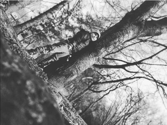 Chłopiec w kurtce i czapce wspina się na grube drzewo w lesie; czarno-biała fotografia z niskiego kąta.