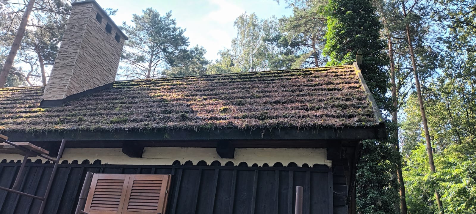 Zarośnięty mchem dach z kominem wykończonym kamieniem elewacyjnym, widoczne rusztowanie i drewniane okiennice.