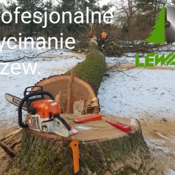 Wycinanie i przycinanie drzew 
Podnośnik liny
Rębak frezarka
Usługa piłowania drewna
Możliwość rozliczenia w drewnie
