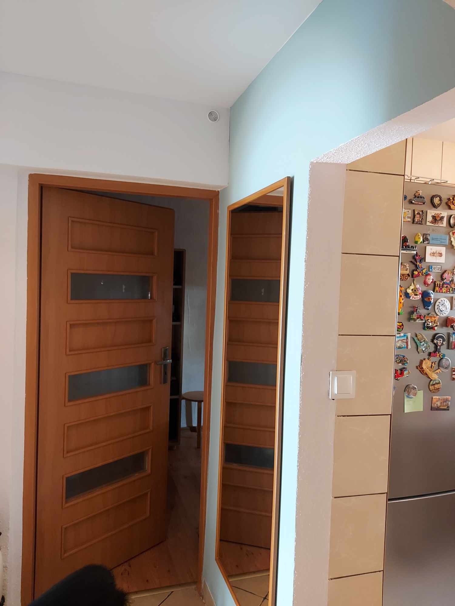 Świeżo pomalowane na błękitno ściany w przedpokoju z drewnianą ościeżnicą i drzwiami z przeszkleniami, widoczne odbicie drzwi w lustrze, fragment kuchni z lodówką oblepioną magnesami.