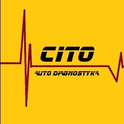 Cito - Elektryk Samochodowy Wrocław