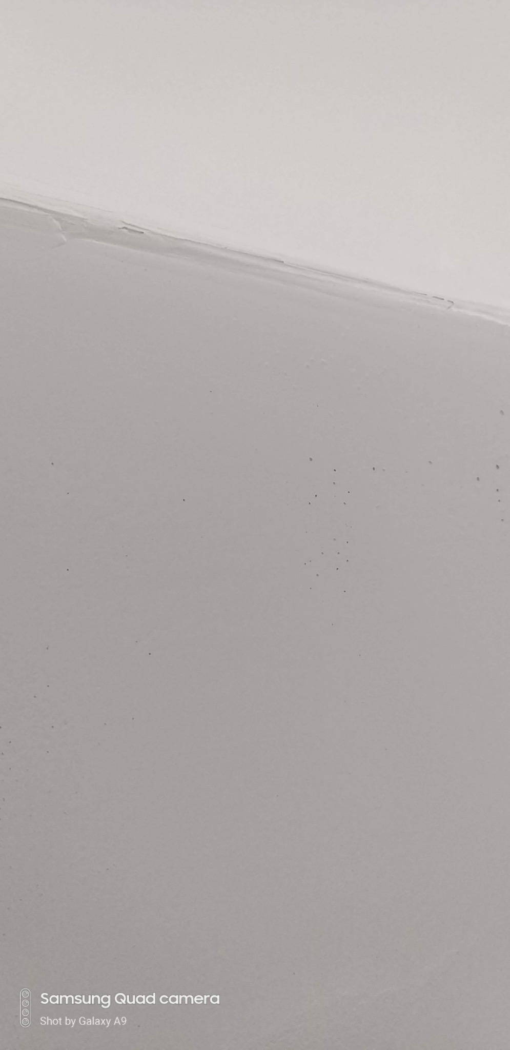 Fragment świeżo pomalowanej ściany i sufitu w odcieniach szarości, widoczne drobne niedoskonałości powierzchni.