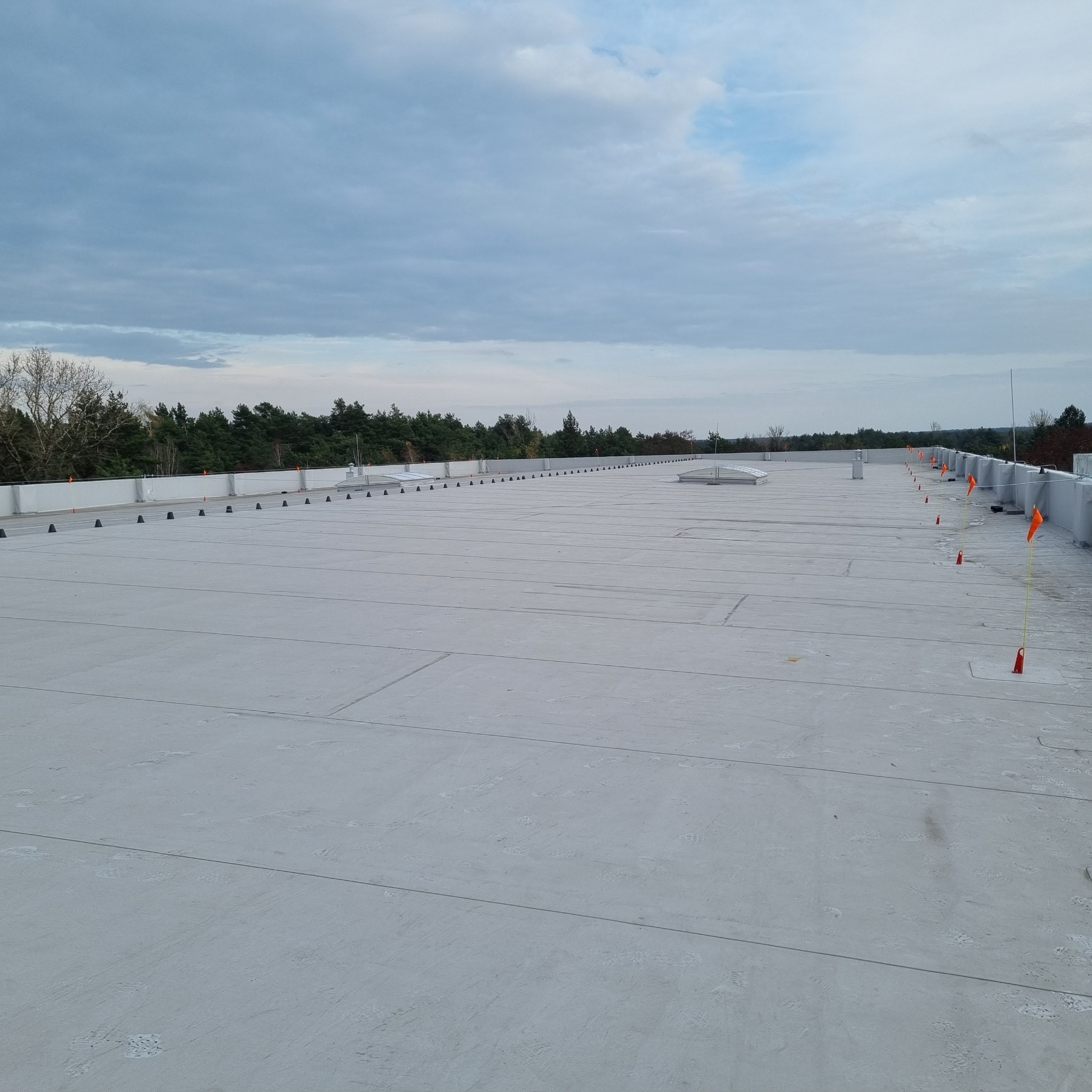 Rozległy, płaski, jasnoszary dach przemysłowy z widocznymi łączeniami paneli, zabezpieczeniami i systemem wentylacji; w tle linia drzew i pochmurne niebo.