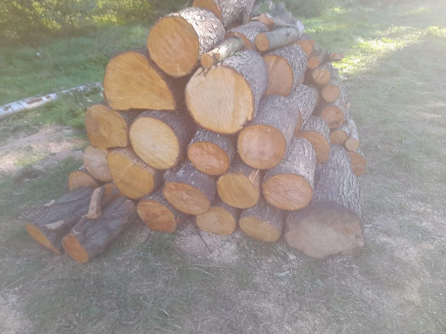 Stos pociętych kloców drewna na trawie, widoczne słoje i kora, nierównomierne oświetlenie.