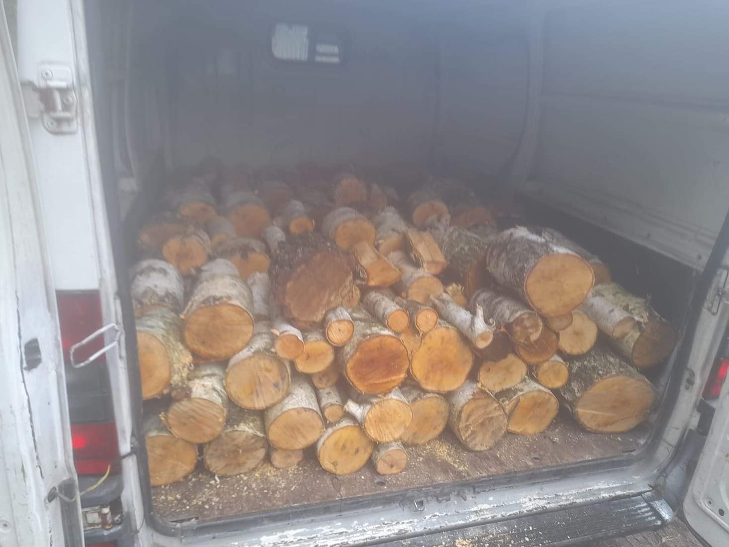 Kilkadziesiąt pociętych, okrągłych kawałków drewna brzozowego ułożonych w przestrzeni ładunkowej furgonetki.
