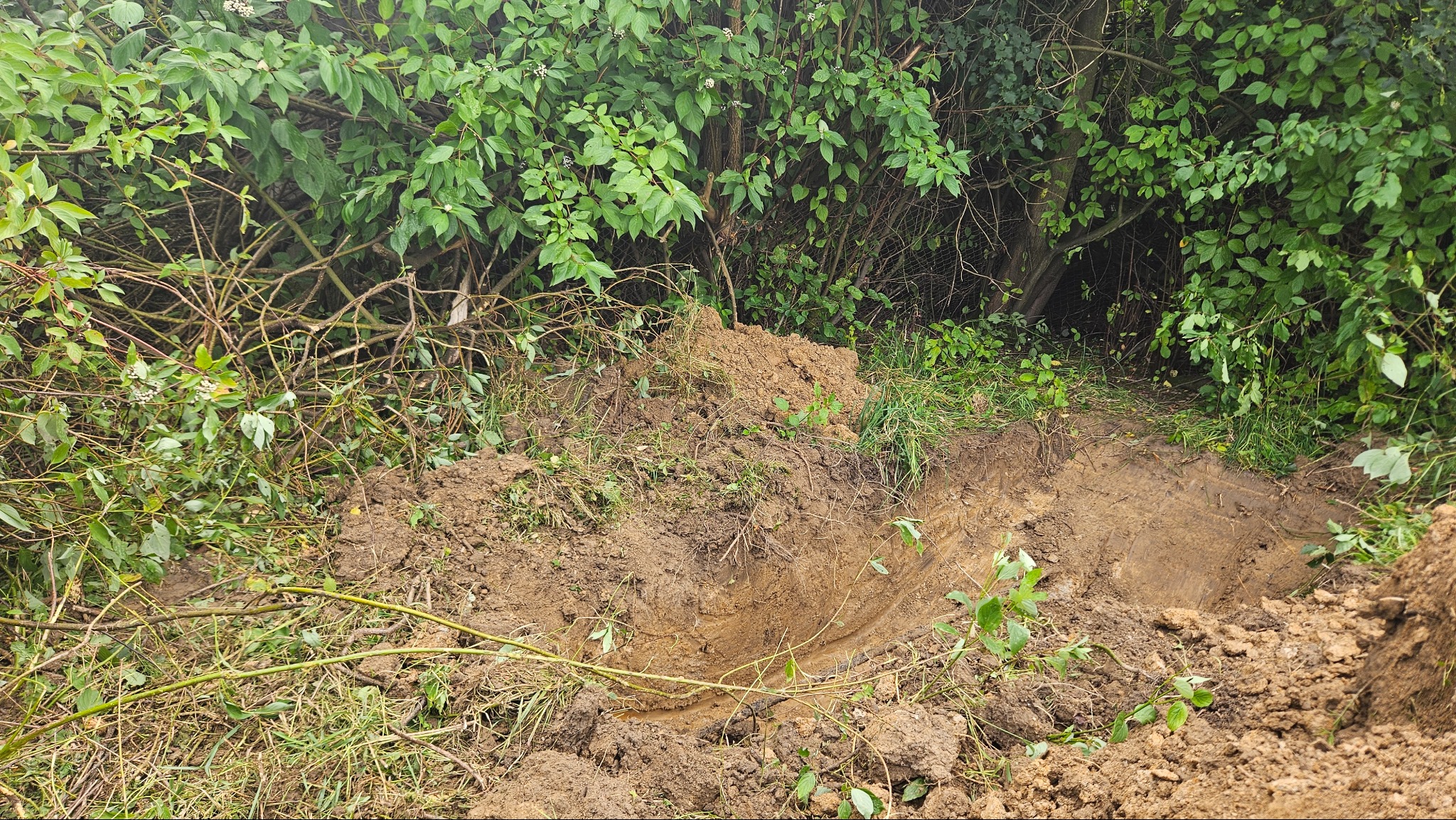 Wykop w ziemi otoczony zielenią i gałęziami, ukazujący surowy krajobraz po wykonanych pracach ziemnych. Widoczne świeże ślady ingerencji w naturę.