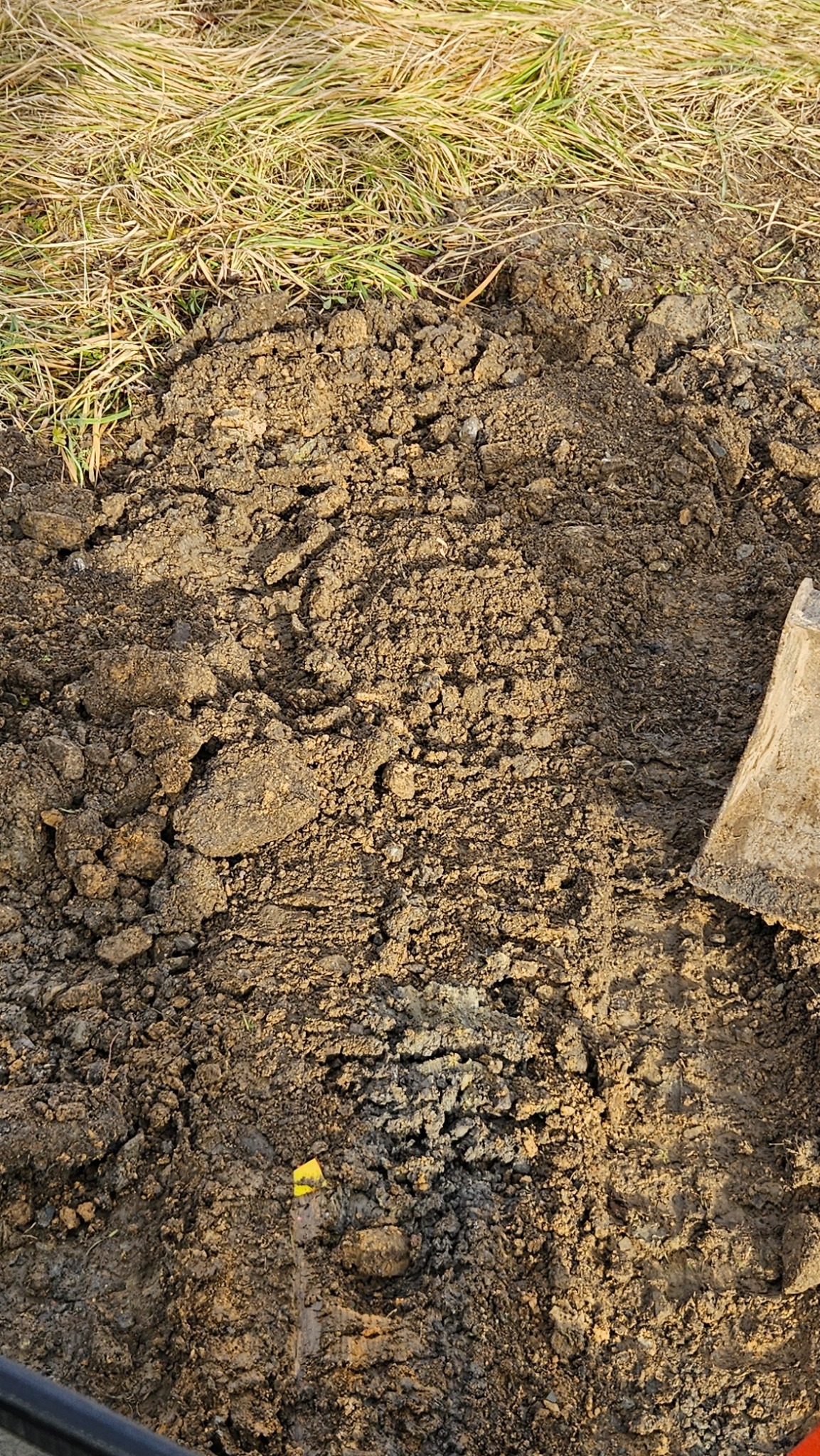 Świeżo przekopana, wilgotna ziemia z fragmentem trawy w tle i krawędzią łopaty po prawej stronie kadru. Widoczny żółty znacznik w ziemi.