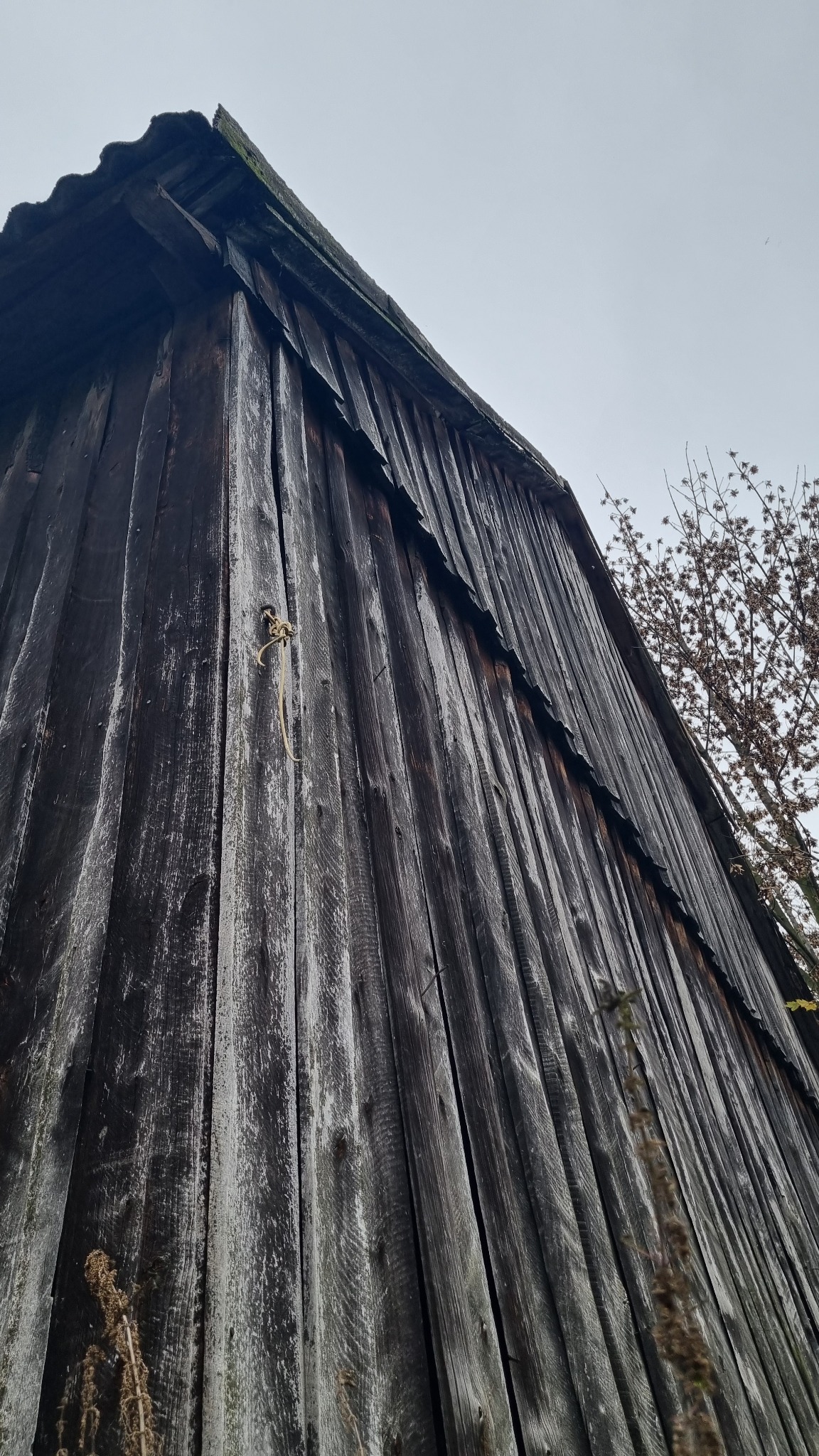 Pionowe ujęcie z dołu na starą, drewnianą konstrukcję z widocznymi śladami zużycia, sznurkiem zwisającym z desek i fragmentem drzewa w tle na pochmurnym niebie.