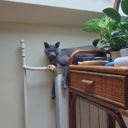 Tydzień byłam z tym małym. Właścicieli są zadowoleni ❤️