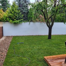 KULTURA ZIELENI SPÓŁKA Z OGRANICZONĄ ODPOWIEDZIALNOŚCIĄ - Nawadnianie świeżo skoszonego trawnika z drzewem, widoczny system zraszający, kamienna rabata i drewniany taras z meblami ogrodowymi, w tle biały mur i różnorodne drzewa i krzewy.