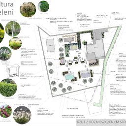 KULTURA ZIELENI SPÓŁKA Z OGRANICZONĄ ODPOWIEDZIALNOŚCIĄ - Projekt ogrodu: rzut z rozmieszczeniem stref i nasadzeń, w tym rabaty z hortensjami, rozplenicą, szałwią, lawendą, drzewa owocowe, trawnik, kuchnia letnia i basen w ogrodzie.