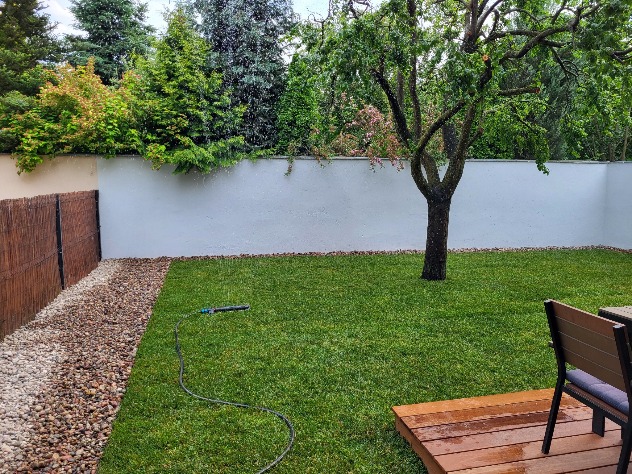 Nawadnianie świeżo skoszonego trawnika z drzewem, widoczny system zraszający, kamienna rabata i drewniany taras z meblami ogrodowymi, w tle biały mur i różnorodne drzewa i krzewy.