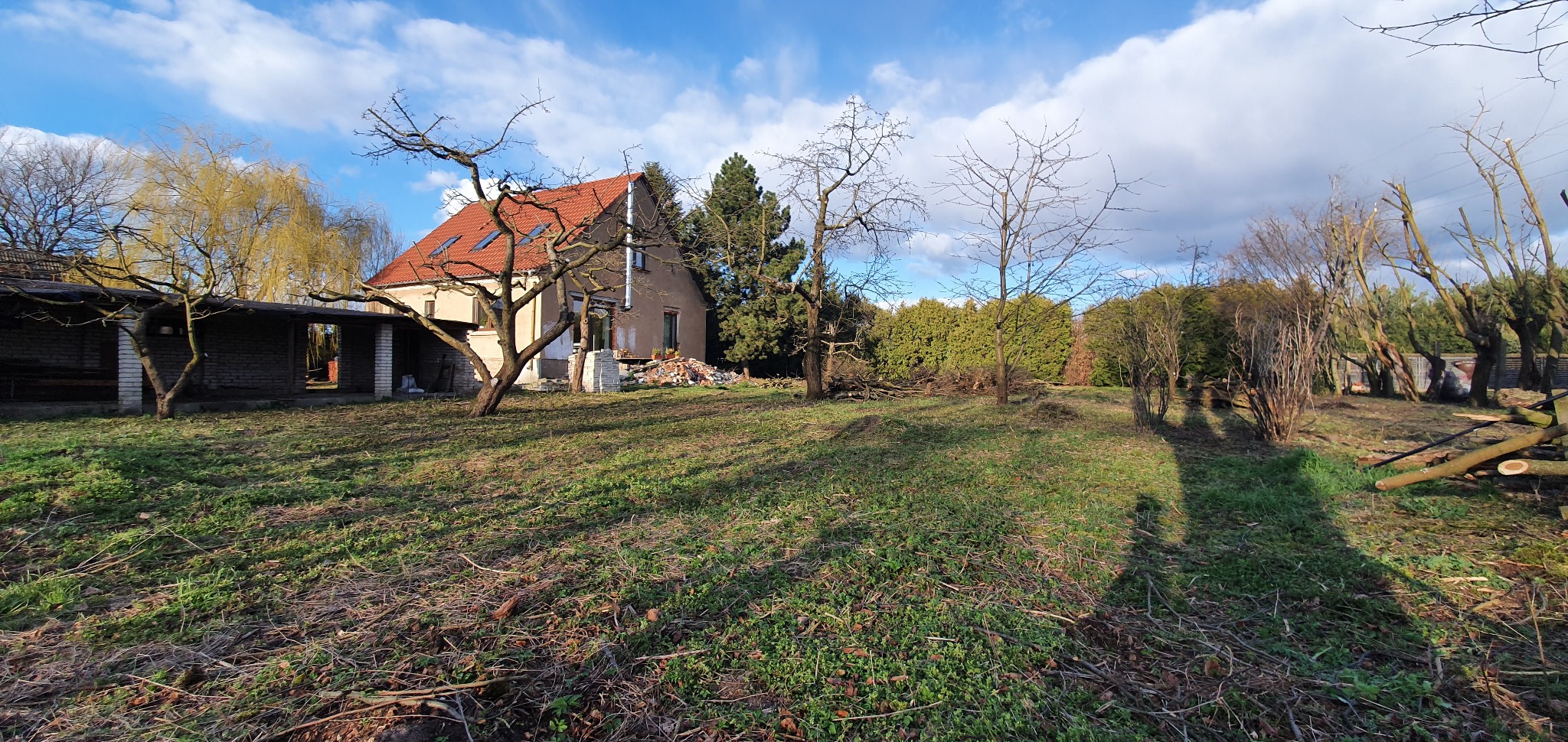 Rozległy ogród z widokiem na dom z czerwoną dachówką i budynkiem gospodarczym, w tle drzewa iglaste, na trawniku leżą gałęzie po przycince.