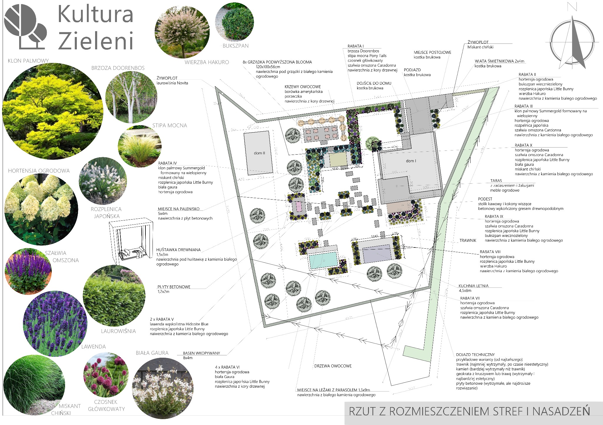 Projekt ogrodu: rzut z rozmieszczeniem stref i nasadzeń, w tym rabaty z hortensjami, rozplenicą, szałwią, lawendą, drzewa owocowe, trawnik, kuchnia letnia i basen w ogrodzie.
