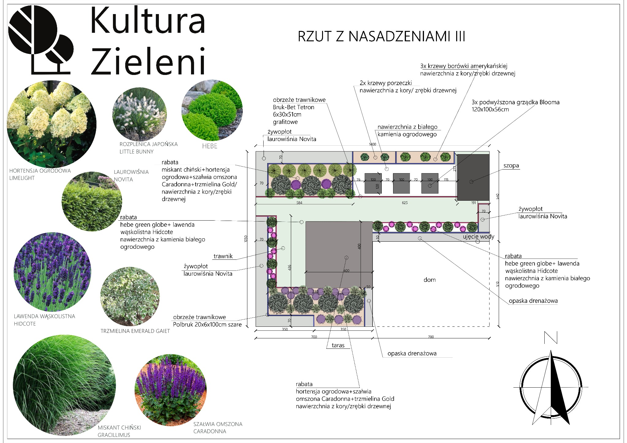 Projekt ogrodu: rzut z nasadzeniami III, z detalami roślin, obrzeży trawnikowych i nawierzchni. Widoczne wymiary i nazwy roślin. Kultura Zieleni.