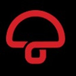 czerwonygrzybek.pl - Projektowanie Stron www Gronity