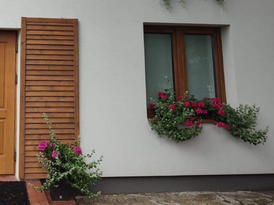 Elewacja domu z oknem ozdobionym kwiatami w doniczce i drewnianymi okiennicami, obok drzwi wejściowe.
